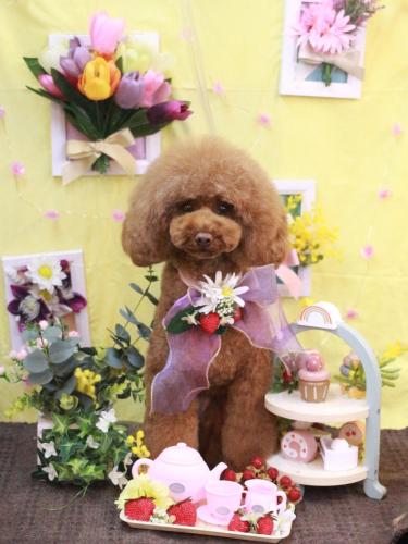 20230326ろこちゃん